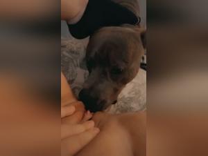 The Whore implores her dog, wild licke