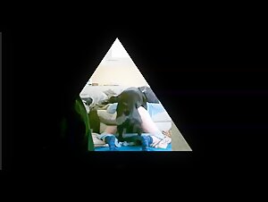Amateur Bestiality Videos with Dogs