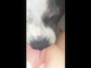 Zoophilia scene with a young woman and her dog: an extreme bestiality sex video