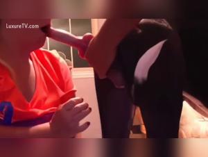 Hunde Sexarchive, erkunden Sie die dunklen Freuden von Amadora