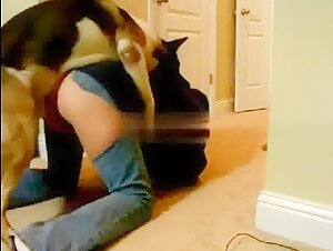 Bestiality sex video: dog and woman
