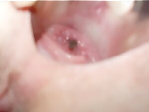 Animal sex videos: discover the most hardcore scenes