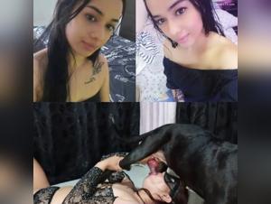 Feline fury: female dog and exacerbated desire