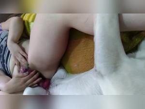 Animal satisfaction: broken fantasies and exploited desires
