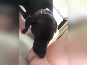 Bestial Delights: Milly Submerged in an Ocean of Canine Flesh