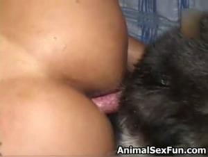 Hundeherrschaft