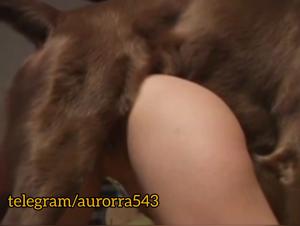 Hundin wird in diesem Hardcore-Film gnadenlos gefickt