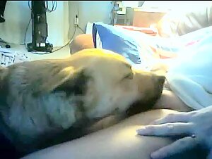 Dog Sex Video - An Intense Experience