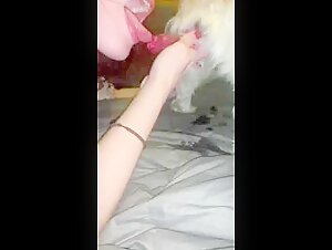 Hundesexvideos: Sehen Sie sich dieses Hundesexvideo an