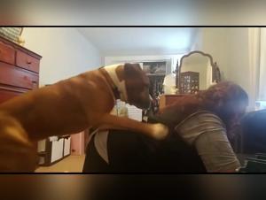 Beastility Intense: Fucking My Dog