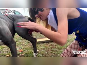 Sexy pussy fucking dog or slut whore sucks a dog