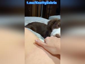 Under canine charm
