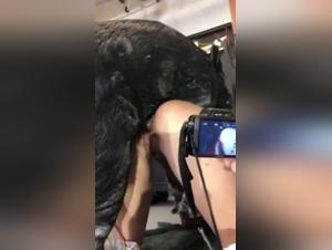 Hardcore exploration of animal and human pleasure