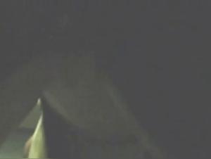 Extravaganter Hundefick - Milly erkundet ihre tiefsten Wunsche