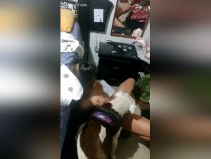 Amateur Canine Delights