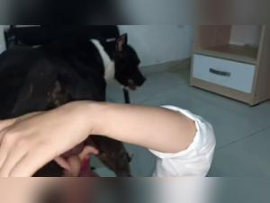 Explore the prohibited delights of the bestiality with Mariela