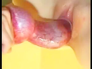 Hardcore bestiality scenes with a woman and a dog
