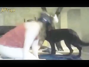 Bestiality sex video with a woman and her dog