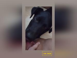 Canine Passion, Raw Pleasure: A Sexually Uninhibited Encounter