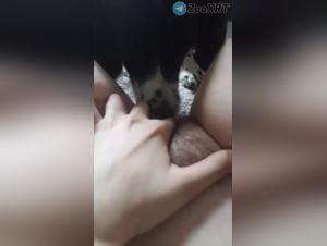 The ruthless desire: raw power of the dog and female submission