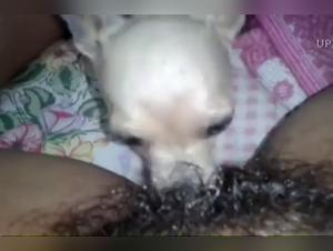 Canine domination and female submission: A forbidden spectacle