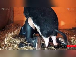 Cumshots, Double Penetration: Selena Exploits her Cow