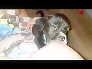 Video of extreme zoophilia with a dog