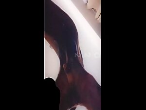 Canine Seduction: Forbidden Fucking and Submission