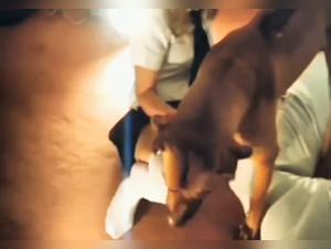 Discover the most sultry scenes of canine passion with Anitaknine