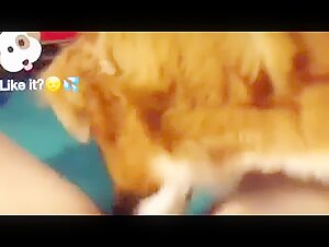 Woman and Dog: An Exciting Encounter