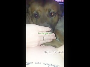 Sex video with dog: a woman assumes her power