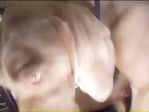 Bestialité : Découvrez des Scènes de Sexe avec un Chien