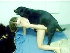 An extreme zoophilia experience with a dog