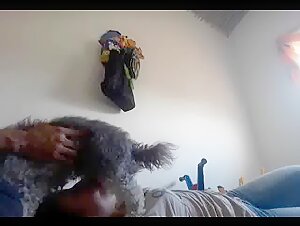 Bestiality sex video: a woman and a dog in a shocking relationship
