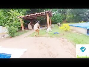 Discover our selection of zoophilia and sex with dogs videos