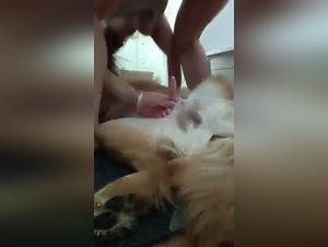 Satisfy Primal desire, fucking with intense dog