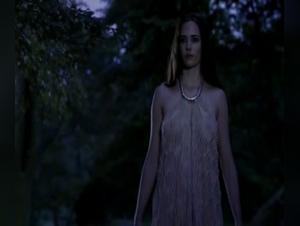 Explore the Taboo World with Miss F and her Canine Accomplices