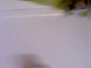 Hardcore Zoophilia: Milly and Her Dog in a Power Game