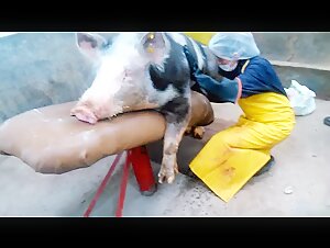Check out our dog bestiality video