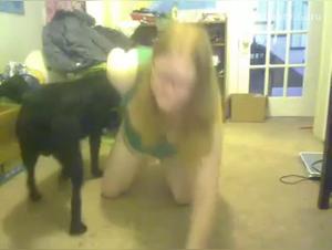 Amateur video: Indomitable dogs and impulses