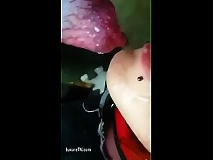 wild feline creampie
