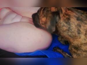 Canine cruelty, limitless pleasure with a BBW