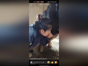 Asian sluts and their animal impulses