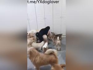 Explore the limits with our Asian Girls and their canine partners.