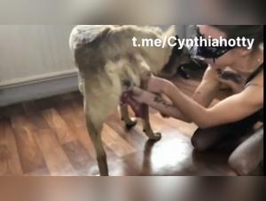 Rough Sex: Dog Dominates Woman