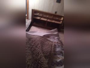 Exploring Forbidden Desires: A Journey into Hardcore Animal Sex