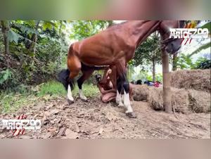 ArtOfZoo - Stone Pony: A Trailer that defies the Limits