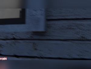 Animals and Desire: Intimate Relationships Captured in High Definition Video