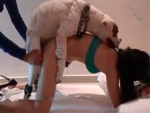 Animal Sperm, Intense Pleasure, and Total Control of the Dog Over the Woman