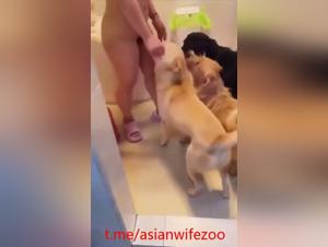 Canine dominance, submitted wife and fiery desires
